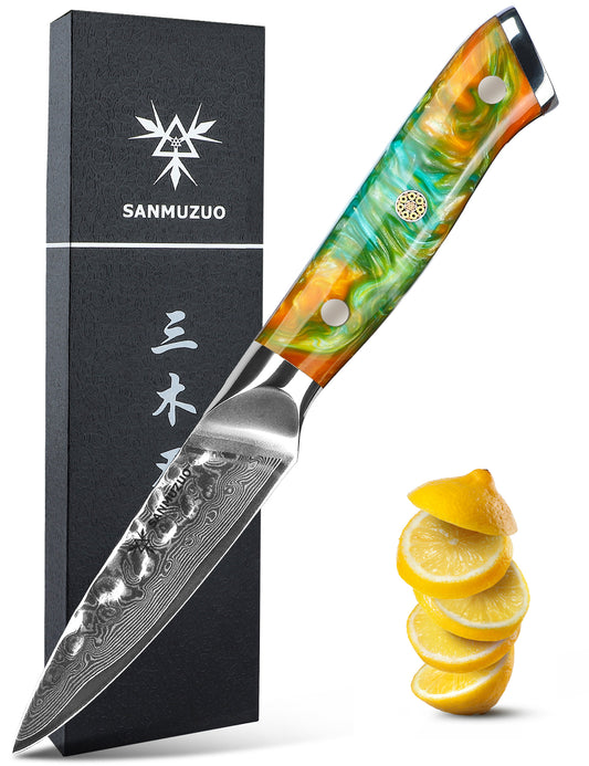 SANMUZUO 3.5 Inch Paring Knife - Fruit and Vegetable Peeling Knives, Forged Damascus Steel & Resin Handle - Yao Series