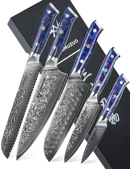 SANMUZUO Chef Cooking Knives Set- Kitchen Knife Set of 5 Piece - Ultra-Sharp VG10 Damascus Steel & Resin Handle - Xuan Series