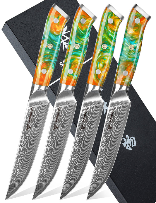 SANMUZUO Steak Knives Set of 4, Ultra Sharp Non Serrated Kitchen Steak Knife 5 Inch - Damascus Steel & Resin Handle - Xuan Series